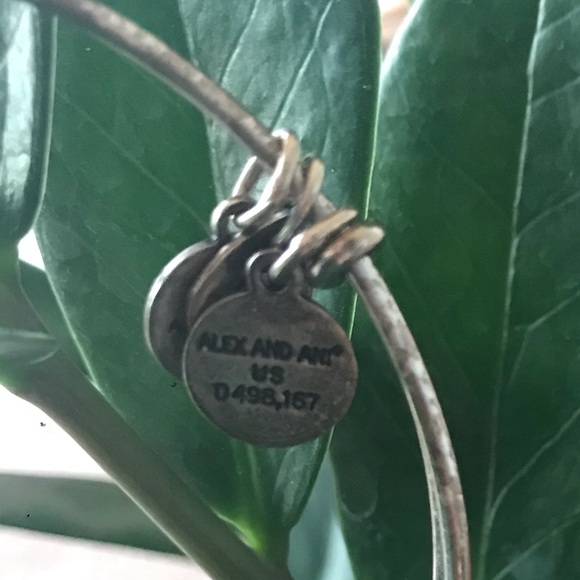 Alex & Ani 2015 “D” Bracelet Silver - Picture 3 of 3